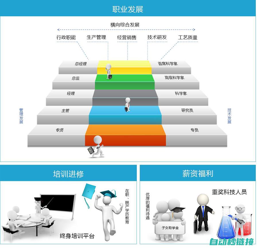 职业发展路径与就业前景展望 (职业发展路径包括哪些)