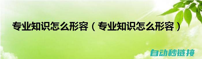 专业技巧与关键步骤解析 (专业技巧是什么意思)